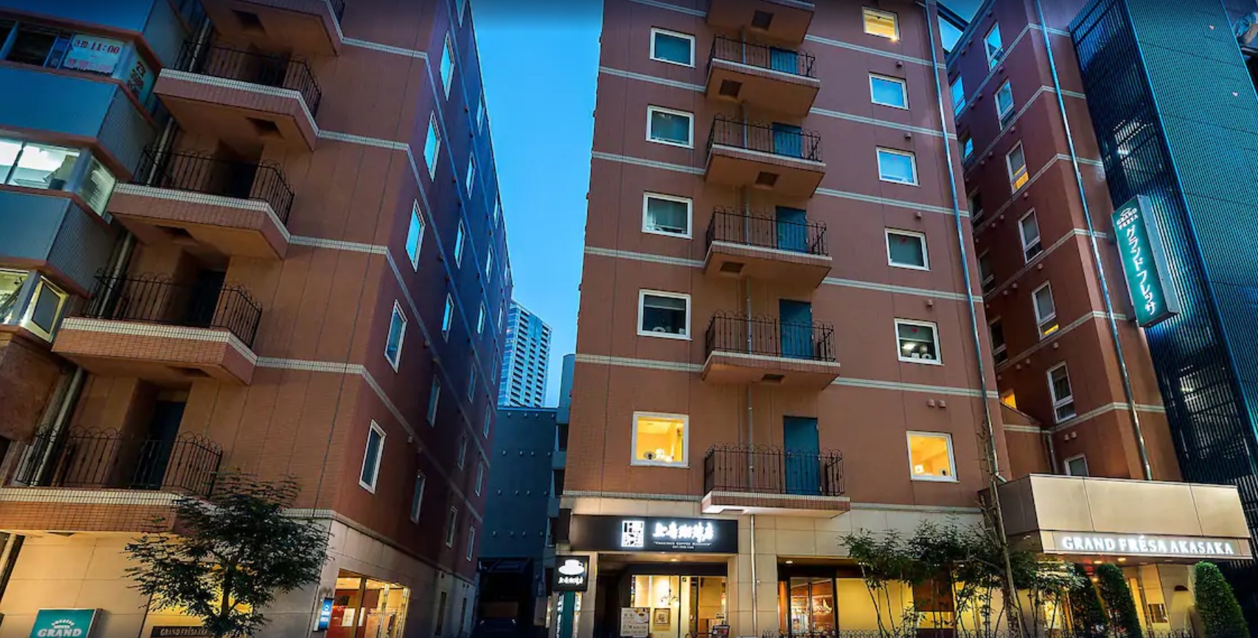 Sotetsu Fresa Inn Tokyo-Akasaka