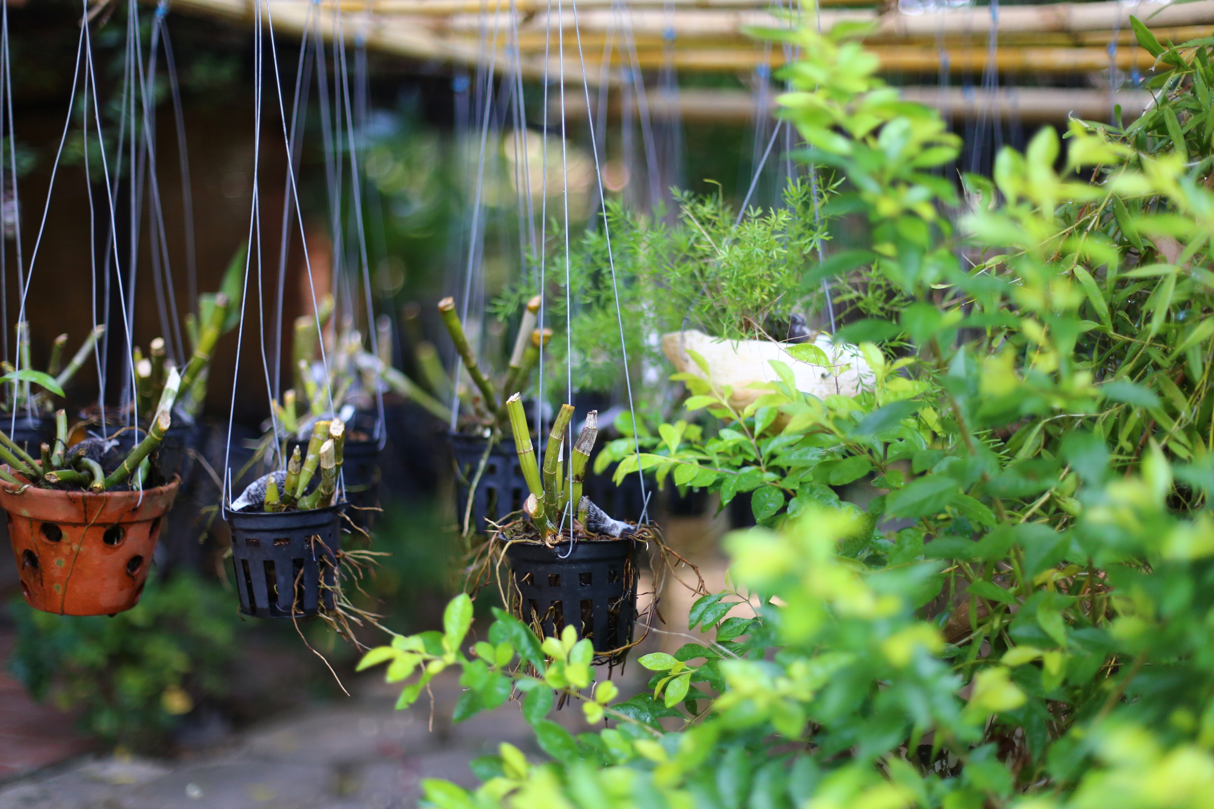 An Nhien Retreat Phu Quoc