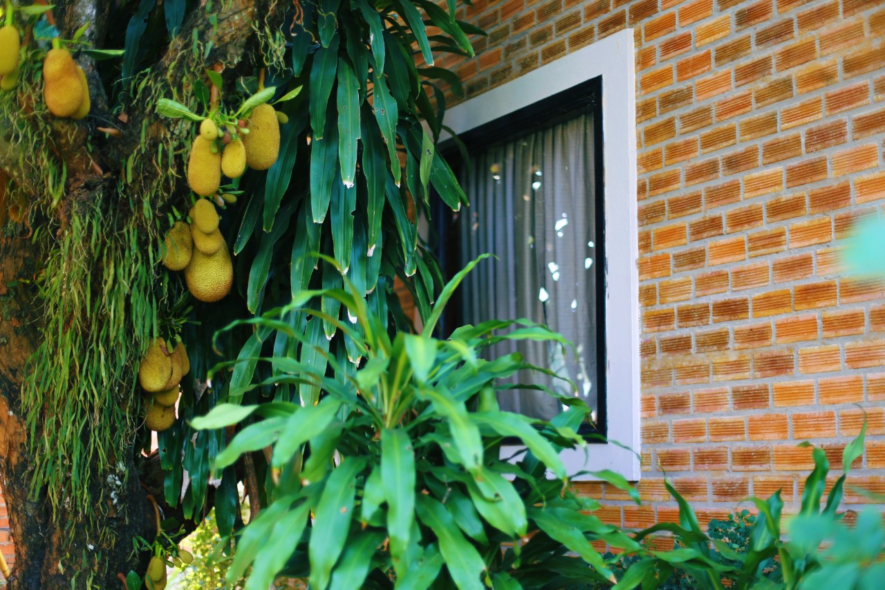 An Nhien Retreat Phu Quoc