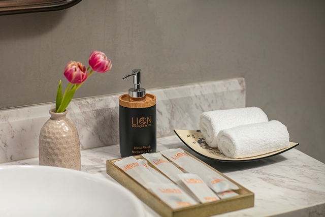 Hanoi Lion Boutique Hotel