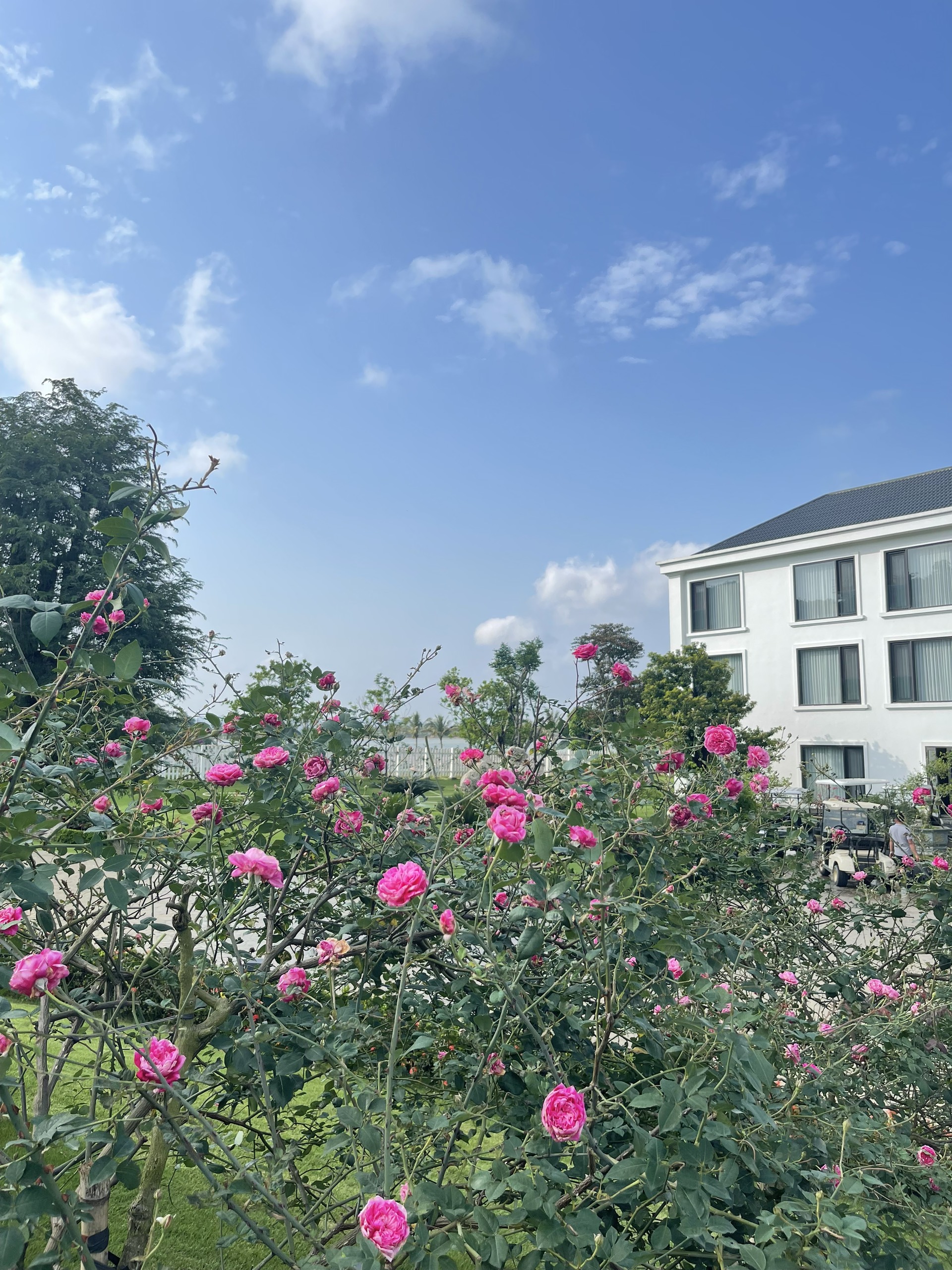 The Five Villas Resort & Golf Hoang Gia Ninh Binh