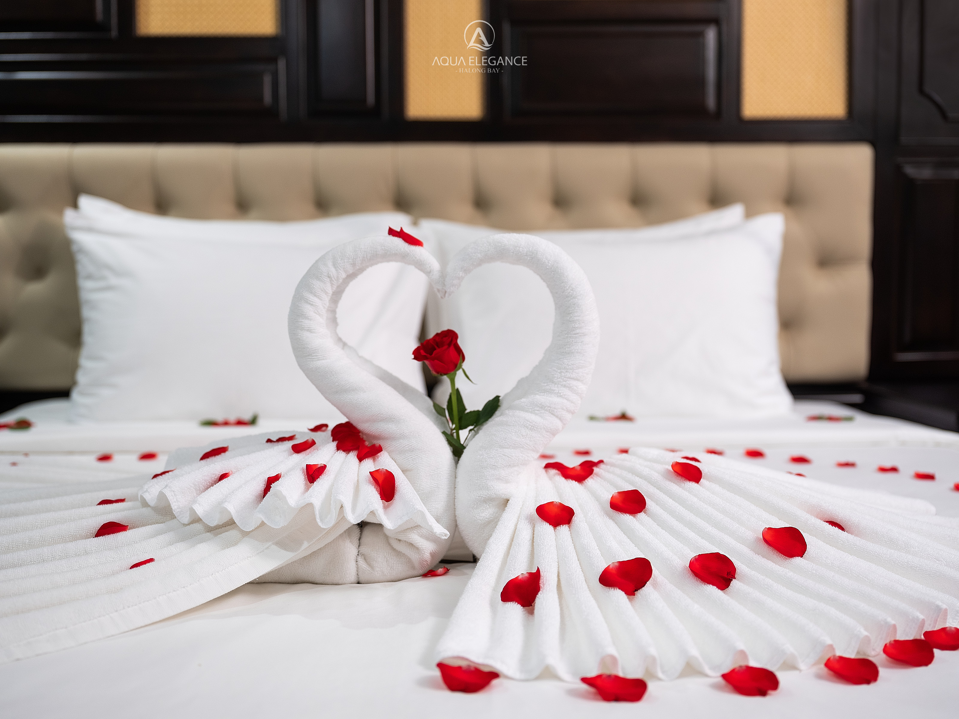 Aqua Elegance Cruise