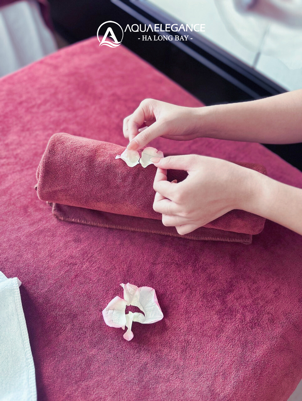 Aqua Elegance Cruise