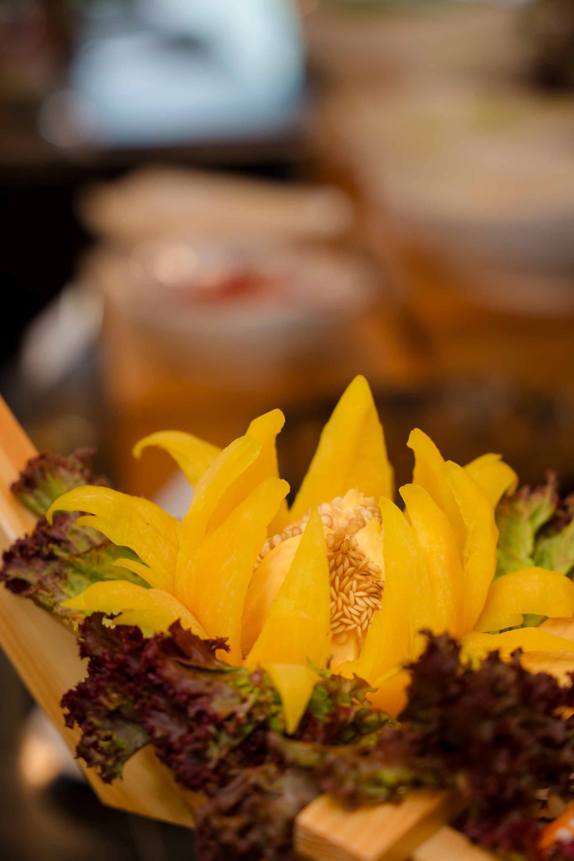 Indochine Grand Lan Ha Bay