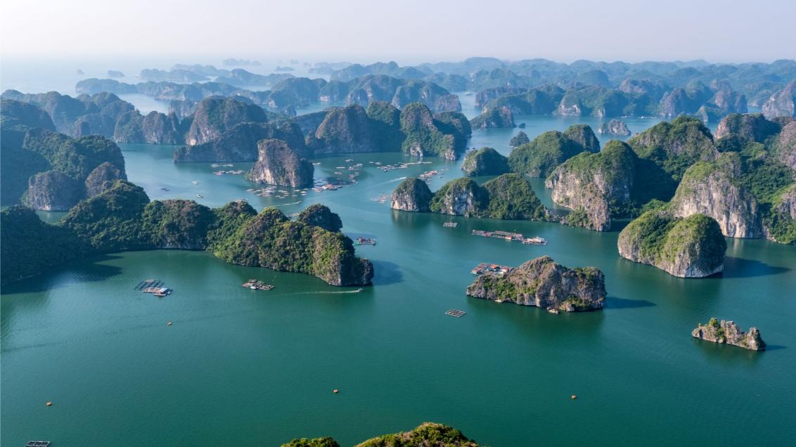 Indochine Cruise Lan Ha Bay