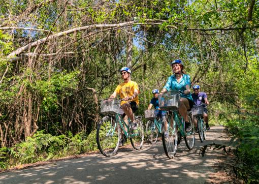 Indochine Cruise Lan Ha Bay